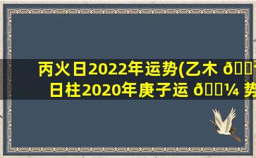 丙火日2022年运势(乙木 🌲 日柱2020年庚子运 🌼 势)